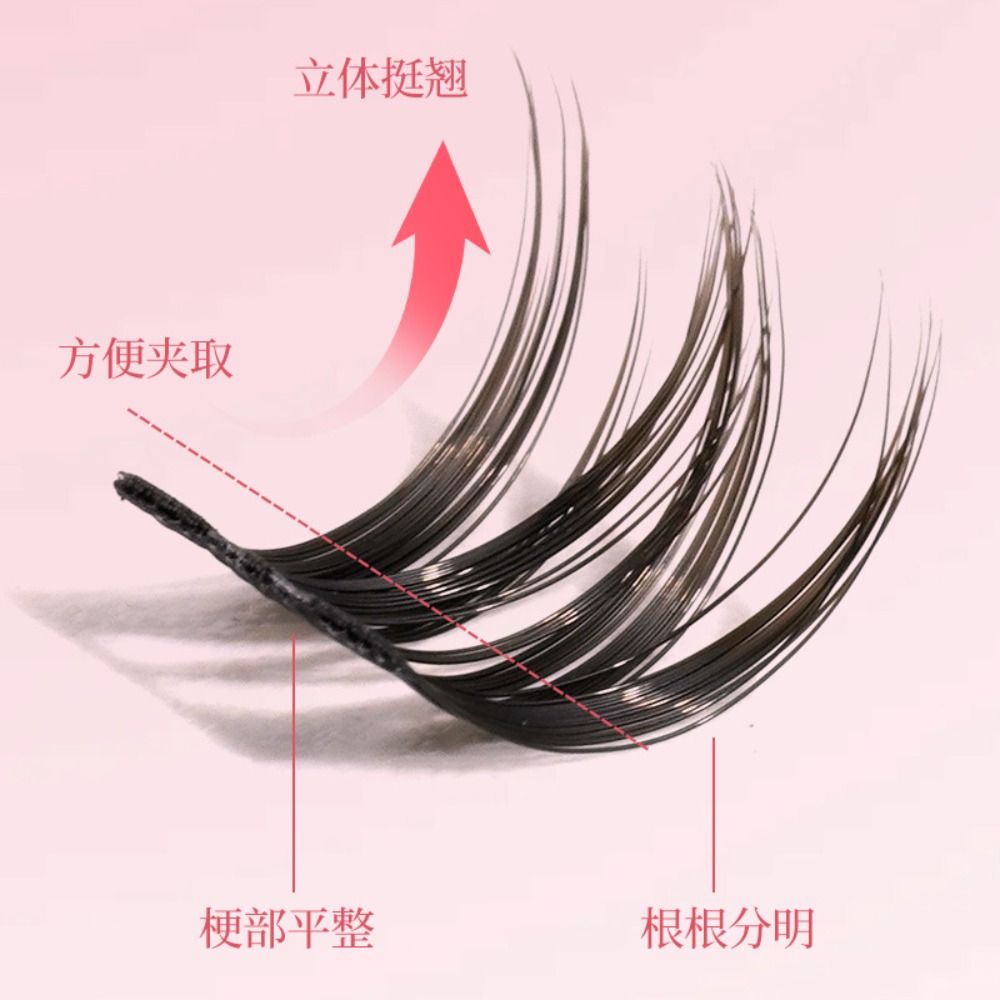 Enlarge Eyes DIY Segmented eye - огляд і ціна Eyelash Extension Anime Style