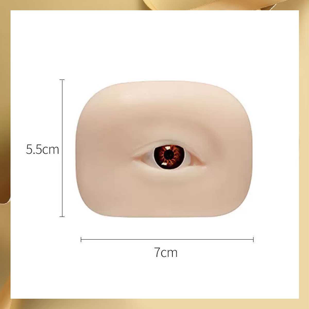 3D False Eyelash Mannequin Fla - огляд і ціна Eyelash Extension Model